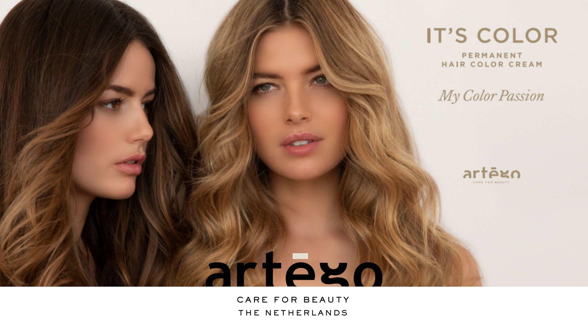 Artègo Professional It's Color Artègo Professionals